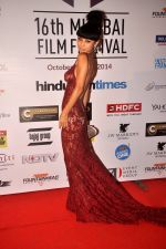 at 16th Mumbai Film Festival in Mumbai on 14th Oct 2014 (206)_543e1eaf241c2.JPG