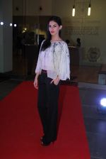 at Hello Art Soiree red carpet in The World Tower, Mumbai on 16th Oct 2014 (80)_5441266bb06bc.JPG