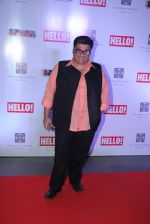 at Hello Art Soiree red carpet in The World Tower, Mumbai on 16th Oct 2014 (98)_544126720e6fe.JPG