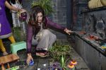 Raveena Tandon celebrates Diwali in Mumbai on 18th Oct 2014 (49)_5443c13c88c40.JPG