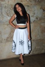 Richa Chadda snapped at Lightbox for Fury screening in Santacruz, Mumbai on 17th Oct 2014 (17)_5443f1ab310bf.JPG
