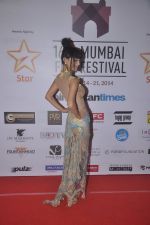 at Mumbai Film Festival Closing Ceremony in Mumbai on 21st Oct 2014 (30)_5447761f021e9.JPG