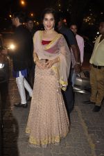 Sophie Chaudhary  at Amitabh Bachchan and family celebrate Diwali in style on 23rd Oct 2014 (89)_544a4ac09d97e.JPG