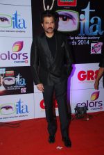 Anil Kapoor at ITA Awards red carpet in Mumbai on 1st Nov 2014 (401)_5456335aeab0e.JPG