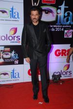 Anil Kapoor at ITA Awards red carpet in Mumbai on 1st Nov 2014 (402)_5456335be429d.JPG