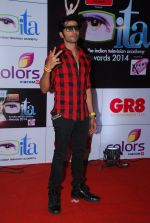 Karanvir Bohra at ITA Awards red carpet in Mumbai on 1st Nov 2014 (229)_545636491eaa6.JPG