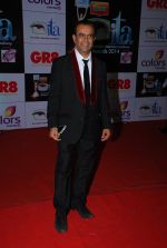 at ITA Awards red carpet in Mumbai on 1st Nov 2014 (100)_545633cc47564.JPG