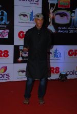 at ITA Awards red carpet in Mumbai on 1st Nov 2014 (12)_545633908e378.JPG