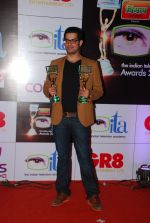 at ITA Awards red carpet in Mumbai on 1st Nov 2014 (215)_545633fbb3409.JPG