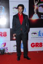 at ITA Awards red carpet in Mumbai on 1st Nov 2014 (260)_5456340e1f5d2.JPG