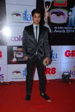 at ITA Awards red carpet in Mumbai on 1st Nov 2014 (430)_5456345ee1caf.JPG