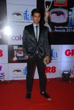 at ITA Awards red carpet in Mumbai on 1st Nov 2014 (431)_545634606dfa4.JPG