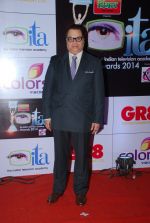 at ITA Awards red carpet in Mumbai on 1st Nov 2014 (434)_54563464b9308.JPG
