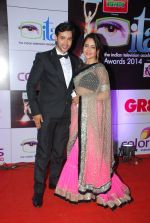at ITA Awards red carpet in Mumbai on 1st Nov 2014 (485)_5456347db02df.JPG