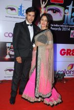 at ITA Awards red carpet in Mumbai on 1st Nov 2014 (488)_5456348104855.JPG