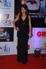 at ITA Awards red carpet in Mumbai on 1st Nov 2014 (537)_545634ab10cb2.JPG