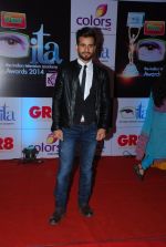at ITA Awards red carpet in Mumbai on 1st Nov 2014 (58)_545633a7e71d3.JPG