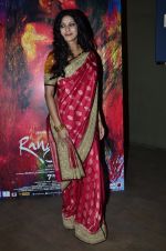Nandana Sen at Rang Rasiya screening in Lightbox, Mumbai on 4th Nov 2014 (31)_545a1bd307aaf.JPG