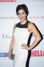 Sophie Chaudhary at Hello Hall of fame red carpet 2014 in Mumbai on 9th Nov 2014 (251)_5460609f9710f.JPG