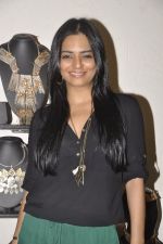 at Atosa for Malini Ramani and Amit Aggarwal preview in Khar on 14th Nov 2014 (30)_54673fcd7a5d4.JPG