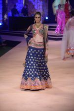 Model walk the ramp for Suneet Verma for Blenders with jewels by Azva on 29th Nov 2014 (27)_547c4a6ebb745.JPG
