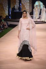 Model walk the ramp for Suneet Verma for Blenders with jewels by Azva on 29th Nov 2014 (61)_547c4a9474a2f.JPG