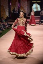 Model walk the ramp for Suneet Verma for Blenders with jewels by Azva on 29th Nov 2014 (86)_547c4ab144a5a.JPG