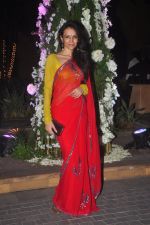 Dipannita Sharma at Sangeet ceremony of Riddhi Malhotra and Tejas Talwalkar in J W Marriott, Mumbai on 13th Dec 2014 (226)_548ea5885818d.JPG