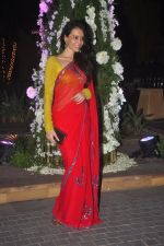 Dipannita Sharma at Sangeet ceremony of Riddhi Malhotra and Tejas Talwalkar in J W Marriott, Mumbai on 13th Dec 2014 (234)_548ea5903901d.JPG