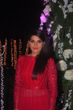 Richa Chadda at Sangeet ceremony of Riddhi Malhotra and Tejas Talwalkar in J W Marriott, Mumbai on 13th Dec 2014 (562)_548ec66cab7af.JPG