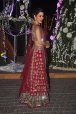 Sophie Chaudhary at Sangeet ceremony of Riddhi Malhotra and Tejas Talwalkar in J W Marriott, Mumbai on 13th Dec 2014 (156)_548ec6b140a57.JPG