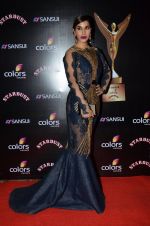 Sophie Chaudhary at Stardust Awards 2014 in Mumbai on 14th Dec 2014 (571)_549039e5c8e64.JPG