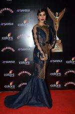 Sophie Chaudhary at Stardust Awards 2014 in Mumbai on 14th Dec 2014 (574)_549039e9df543.JPG
