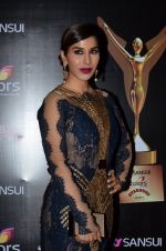 Sophie Chaudhary at Stardust Awards 2014 in Mumbai on 14th Dec 2014 (580)_549039f5347e1.JPG