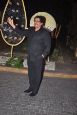 at Riddhi Malhotra & Tejas Talwalkar_s wedding reception in J W Marriott, Mumbai on 15th Dec 2014 (102)_548fe65716587.JPG