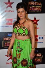Hard Kaur at Big Star Entertainment Awards Red Carpet in Mumbai on 18th Dec 2014 (135)_54940293d5b30.JPG