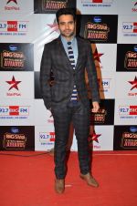 Jackky Bhagnani at Big Star Entertainment Awards Red Carpet in Mumbai on 18th Dec 2014 (70)_549402aa32517.JPG