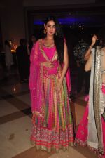 Sonal Chauhan at Vikram Singh_s Brother Uday Singh and Ali Morani_s daughter Shirin_s Sangeet Ceremony on 18th Dec 2014 (70)_549411c8861fc.JPG