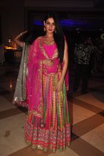 Sonal Chauhan at Vikram Singh_s Brother Uday Singh and Ali Morani_s daughter Shirin_s Sangeet Ceremony on 18th Dec 2014 (71)_549411c9a2bbb.JPG