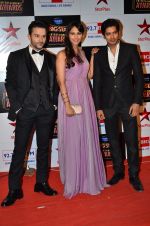 at Big Star Entertainment Awards Red Carpet in Mumbai on 18th Dec 2014 (15)_5494016c42987.JPG