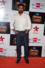 at Big Star Entertainment Awards Red Carpet in Mumbai on 18th Dec 2014 (21)_5494016f1a9a1.JPG