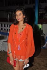 Ira Dubey at The ABV Nucleus Indian 2000 Guineas in Mumbai on 21st Dec 2014 (50)_5497de0dae7b8.JPG