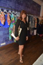at Seema Khan_s Christmas collection in Mumbai on 22nd Dec 2014 (53)_549937177f7d3.JPG