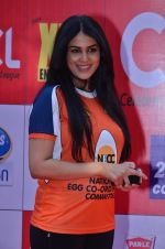Genelia D Souza at CCL Red Carpet in Broabourne, Mumbai on 10th Jan 2015 (78)_54b26a9ae7497.JPG