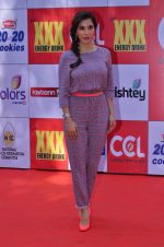 Sophie Chaudhary at CCL Red Carpet in Broabourne, Mumbai on 10th Jan 2015 (100)_54b26bef2f37a.JPG