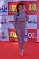 Sophie Chaudhary at CCL Red Carpet in Broabourne, Mumbai on 10th Jan 2015 (97)_54b26be89fbae.JPG