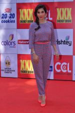 Sophie Chaudhary at CCL Red Carpet in Broabourne, Mumbai on 10th Jan 2015 (98)_54b26beaa08d5.JPG