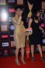 at Producers Guild Awards 2015 in Mumbai on 11th Jan 2015 (636)_54b36bec60c8a.JPG