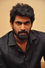 Rana Daggubati at Baby Movie press meet in Hyderabad on 13th Jan 2015 (143)_54b67a44b3088.jpg