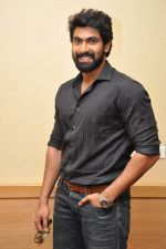 Rana Daggubati at Baby Movie press meet in Hyderabad on 13th Jan 2015 (160)_54b67a7e7d44d.jpg